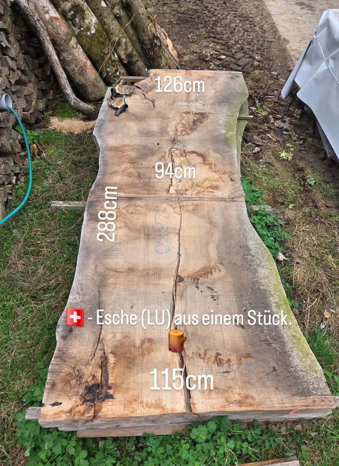 Baumtischplatte mit natürlicher Kante und Rissen.